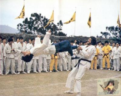 Bruce Lee Flash Kick